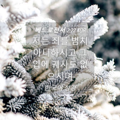 Picture 04 - 베드로전서 2:22 KOR - 저는 죄를 범치 아니하시고 그 입에 - Bible Verse Picture