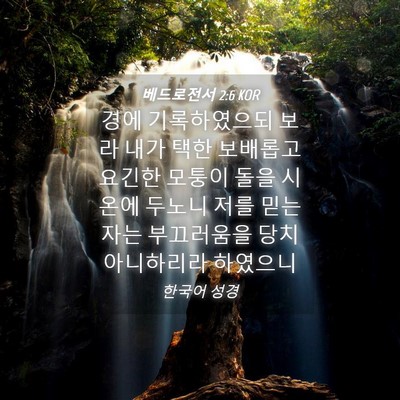 Picture 04 - 베드로전서 2:6 KOR - 경에 기록하였으되 보라 내가 택한 - Bible Verse Picture