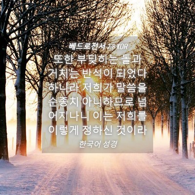 Picture 04 - 베드로전서 2:8 KOR - 또한 부딪히는 돌과 거치는 반석이 - Bible Verse Picture
