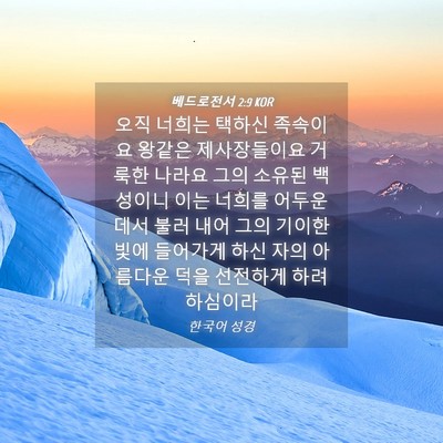 Picture 04 - 베드로전서 2:9 KOR - 오직 너희는 택하신 족속이요 왕같은 - Bible Verse Picture