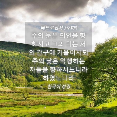 Picture 04 - 베드로전서 3:12 KOR - 주의 눈은 의인을 향하시고 그의 - Bible Verse Picture