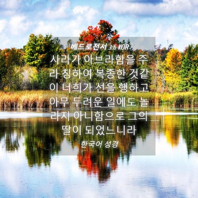 Picture 04 - 베드로전서 3:6 KOR - 사라가 아브라함을 주라 칭하여 - Bible Verse Picture