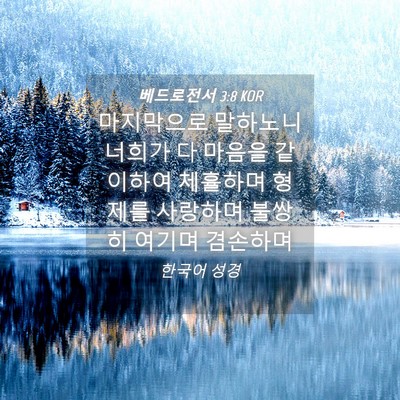 Picture 04 - 베드로전서 3:8 KOR - 마지막으로 말하노니 너희가 다 - Bible Verse Picture