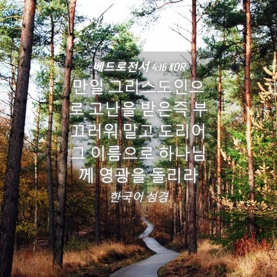 Picture 04 - 베드로전서 4:16 KOR - 만일 그리스도인으로 고난을 받은즉 - Bible Verse Picture