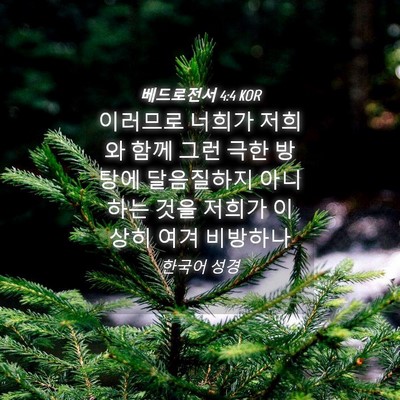 Picture 04 - 베드로전서 4:4 KOR - 이러므로 너희가 저희와 함께 그런 - Bible Verse Picture