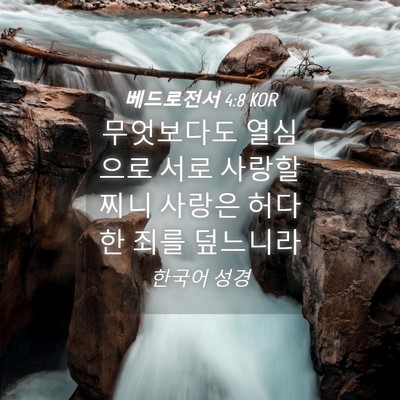 Picture 04 - 베드로전서 4:8 KOR - 무엇보다도 열심으로 서로 - Bible Verse Picture