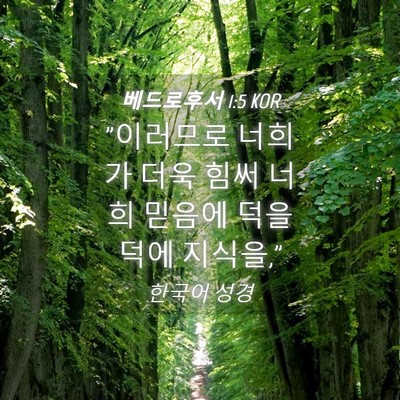Picture 04 - 베드로후서 1:5 KOR - 