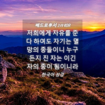 Picture 04 - 베드로후서 2:19 KOR - 저희에게 자유를 준다 하여도 자기는 - Bible Verse Picture