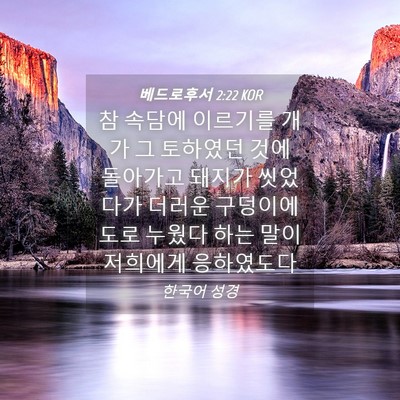 Picture 04 - 베드로후서 2:22 KOR - 참 속담에 이르기를 개가 그 - Bible Verse Picture