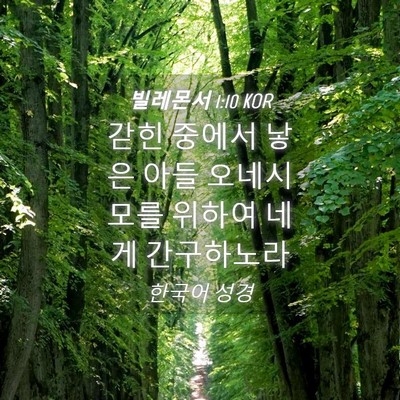 Picture 04 - 빌레몬서 1:10 KOR - 갇힌 중에서 낳은 아들 오네시모를 - Bible Verse Picture