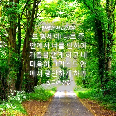 Picture 04 - 빌레몬서 1:20 KOR - 오 형제여! 나로 주 안에서 너를 - Bible Verse Picture