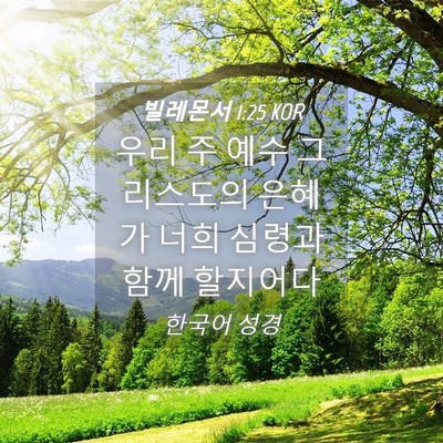 Picture 04 - 빌레몬서 1:25 KOR - 우리 주 예수 그리스도의 은혜가 - Bible Verse Picture
