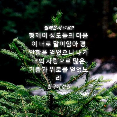 Picture 04 - 빌레몬서 1:7 KOR - 형제여 성도들의 마음이 너로 - Bible Verse Picture