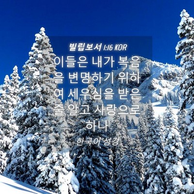 Picture 04 - 빌립보서 1:16 KOR - 이들은 내가 복음을 변명하기 위하여 - Bible Verse Picture