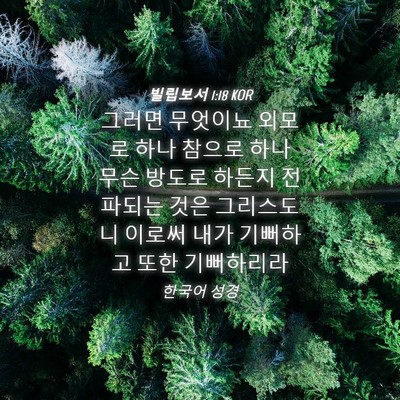 Picture 04 - 빌립보서 1:18 KOR - 그러면 무엇이뇨 외모로 하나 참으로 - Bible Verse Picture