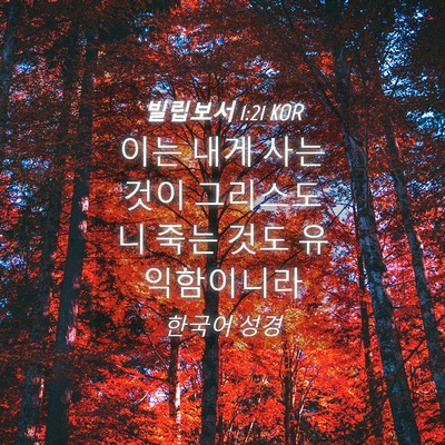 Picture 04 - 빌립보서 1:21 KOR - 이는 내게 사는 것이 그리스도니 - Bible Verse Picture