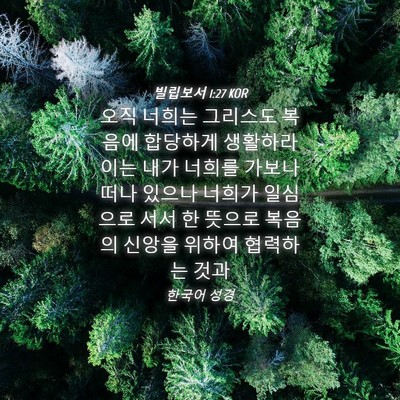 Picture 04 - 빌립보서 1:27 KOR - 오직 너희는 그리스도 복음에 - Bible Verse Picture