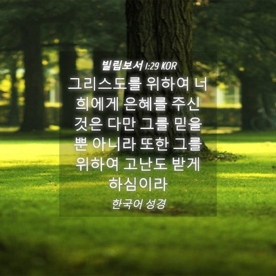 Picture 04 - 빌립보서 1:29 KOR - 그리스도를 위하여 너희에게 은혜를 - Bible Verse Picture