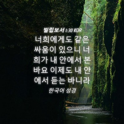 Picture 04 - 빌립보서 1:30 KOR - 너희에게도 같은 싸움이 있으니 - Bible Verse Picture