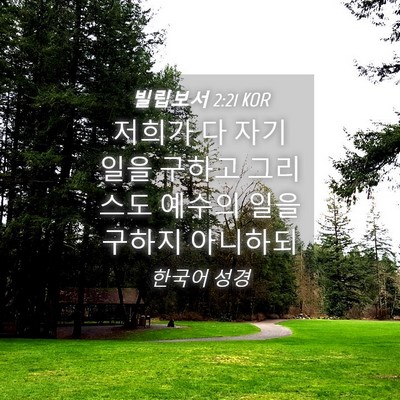 Picture 04 - 빌립보서 2:21 KOR - 저희가 다 자기 일을 구하고 - Bible Verse Picture