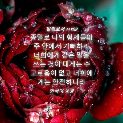 Picture 04 - 빌립보서 3:1 KOR - 종말로 나의 형제들아 주 안에서 - Bible Verse Picture