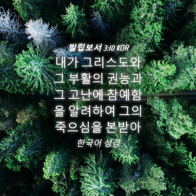 Picture 04 - 빌립보서 3:10 KOR - 내가 그리스도와 그 부활의 권능과 - Bible Verse Picture