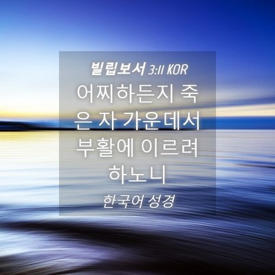Picture 04 - 빌립보서 3:11 KOR - 어찌하든지 죽은 자 가운데서 부활에 - Bible Verse Picture