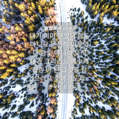 Picture 04 - 빌립보서 3:12 KOR - 내가 이미 얻었다 함도 아니요 - Bible Verse Picture