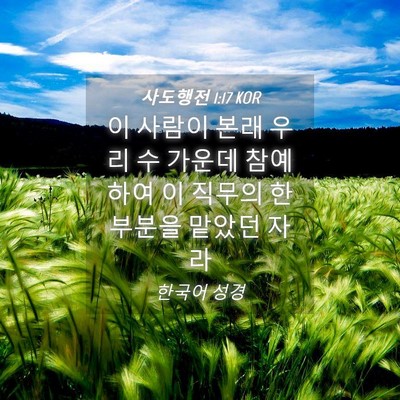 Picture 04 - 사도행전 1:17 KOR - 이 사람이 본래 우리 수 가운데 - Bible Verse Picture