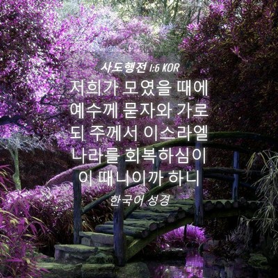 Picture 04 - 사도행전 1:6 KOR - 저희가 모였을 때에 예수께 묻자와 - Bible Verse Picture