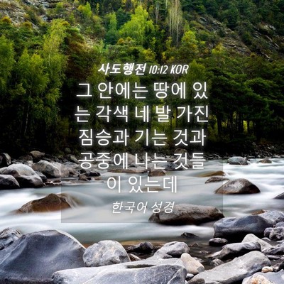 Picture 04 - 사도행전 10:12 KOR - 그 안에는 땅에 있는 각색 네 발 가진 - Bible Verse Picture