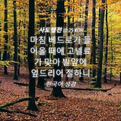 Picture 04 - 사도행전 10:25 KOR - 마침 베드로가 들어올 때에 고넬료가 - Bible Verse Picture