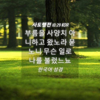 Picture 04 - 사도행전 10:29 KOR - 부름을 사양치 아니하고 왔노라 - Bible Verse Picture