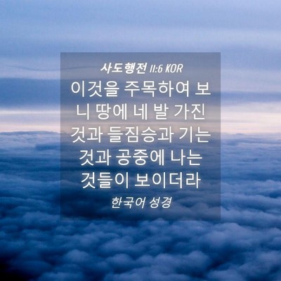 Picture 04 - 사도행전 11:6 KOR - 이것을 주목하여 보니 땅에 네 발 - Bible Verse Picture
