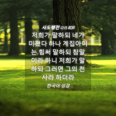 Picture 04 - 사도행전 12:15 KOR - 저희가 말하되 네가 미쳤다 하나 - Bible Verse Picture