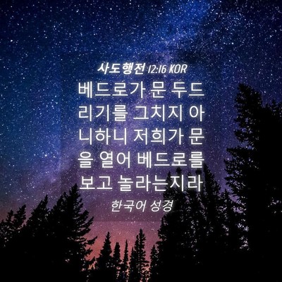 Picture 04 - 사도행전 12:16 KOR - 베드로가 문 두드리기를 그치지 - Bible Verse Picture