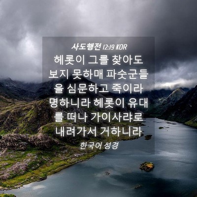 Picture 04 - 사도행전 12:19 KOR - 헤롯이 그를 찾아도 보지 못하매 - Bible Verse Picture