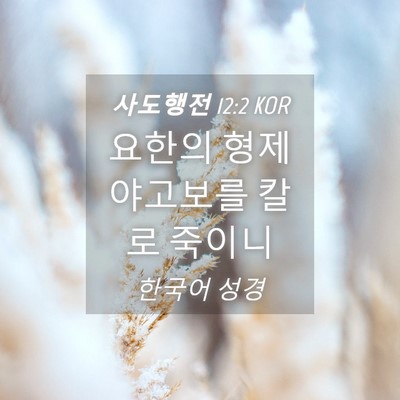 Picture 04 - 사도행전 12:2 KOR - 요한의 형제 야고보를 칼로 - Bible Verse Picture