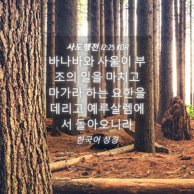 Picture 04 - 사도행전 12:25 KOR - 바나바와 사울이 부조의 일을 마치고 - Bible Verse Picture