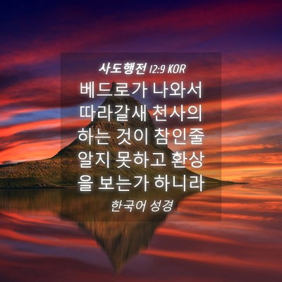 Picture 04 - 사도행전 12:9 KOR - 베드로가 나와서 따라갈새 천사의 - Bible Verse Picture