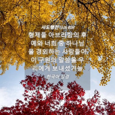 Picture 04 - 사도행전 13:26 KOR - 형제들 아브라함의 후예와 너희 중 - Bible Verse Picture