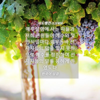 Picture 04 - 사도행전 13:27 KOR - 예루살렘에 사는 자들과 저희 - Bible Verse Picture