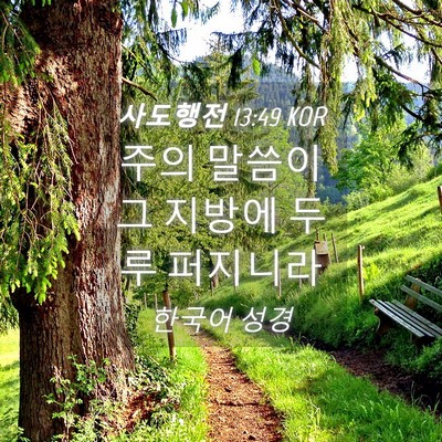 Picture 04 - 사도행전 13:49 KOR - 주의 말씀이 그 지방에 두루 - Bible Verse Picture