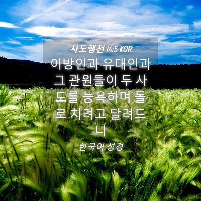 Picture 04 - 사도행전 14:5 KOR - 이방인과 유대인과 그 관원들이 두 - Bible Verse Picture