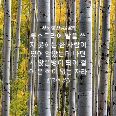 Picture 04 - 사도행전 14:8 KOR - 루스드라에 발을 쓰지 못하는 한 - Bible Verse Picture