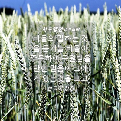 Picture 04 - 사도행전 14:9 KOR - 바울의 말하는 것을 듣거늘 바울이 - Bible Verse Picture