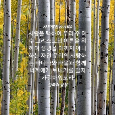 Picture 04 - 사도행전 15:25 KOR - 사람을 택하여 우리 주 예수 - Bible Verse Picture