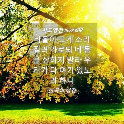 Picture 04 - 사도행전 16:28 KOR - 바울이 크게 소리질러 가로되 네 - Bible Verse Picture