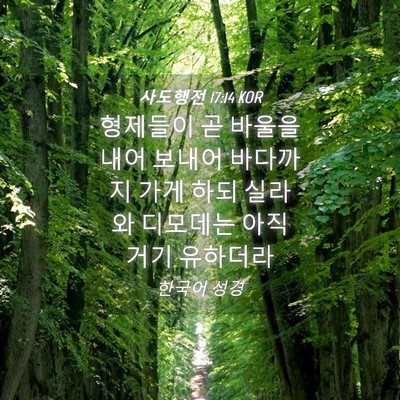 Picture 04 - 사도행전 17:14 KOR - 형제들이 곧 바울을 내어 보내어 - Bible Verse Picture