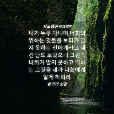 Picture 04 - 사도행전 17:23 KOR - 내가 두루 다니며 너희의 위하는 - Bible Verse Picture